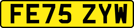 FE75ZYW