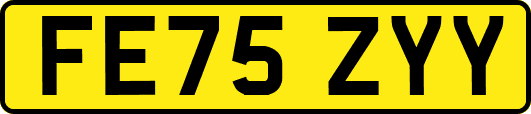 FE75ZYY