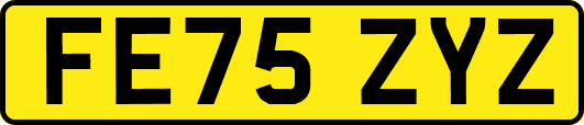 FE75ZYZ