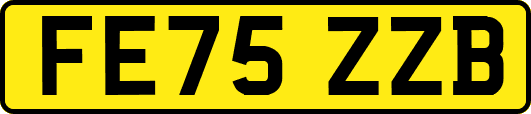 FE75ZZB