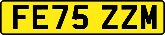 FE75ZZM