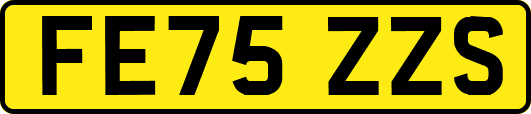 FE75ZZS