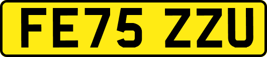 FE75ZZU
