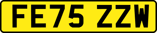 FE75ZZW