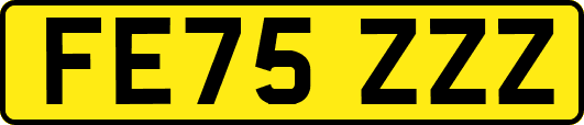 FE75ZZZ