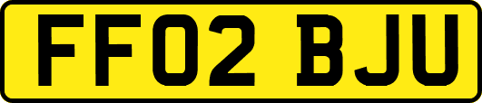 FF02BJU