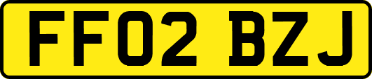 FF02BZJ