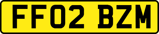 FF02BZM