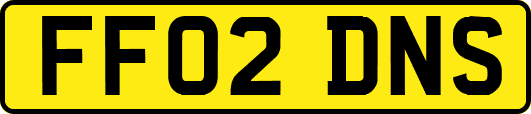 FF02DNS