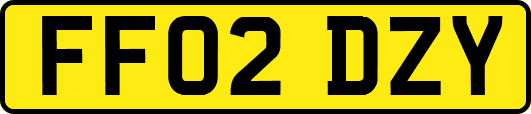 FF02DZY