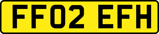 FF02EFH