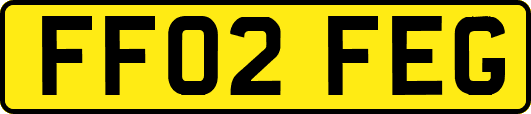 FF02FEG