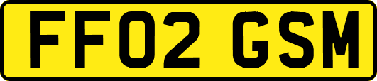 FF02GSM