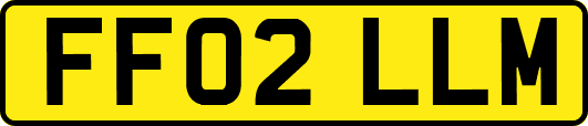 FF02LLM