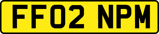 FF02NPM