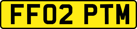 FF02PTM
