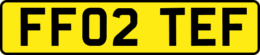 FF02TEF