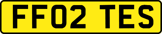 FF02TES