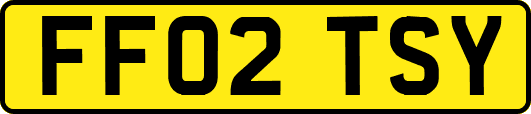 FF02TSY