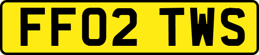 FF02TWS