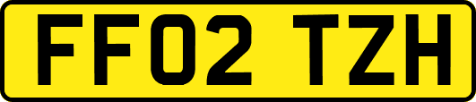 FF02TZH