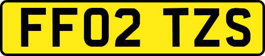FF02TZS