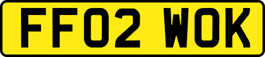 FF02WOK