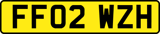 FF02WZH