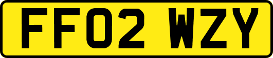 FF02WZY