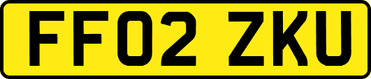 FF02ZKU