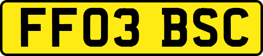 FF03BSC