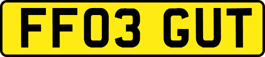 FF03GUT