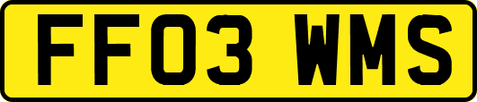FF03WMS