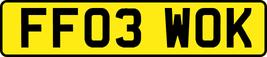 FF03WOK