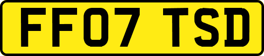 FF07TSD