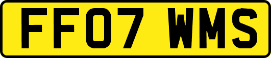 FF07WMS
