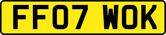 FF07WOK
