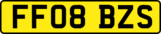 FF08BZS