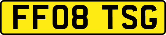 FF08TSG