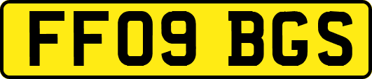 FF09BGS