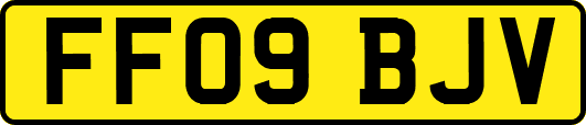 FF09BJV