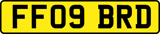 FF09BRD