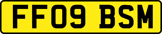 FF09BSM