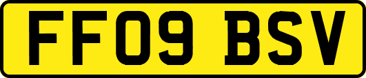 FF09BSV