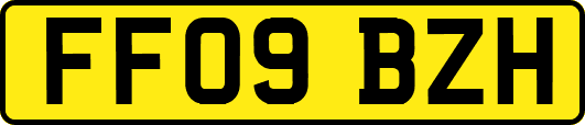 FF09BZH