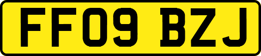 FF09BZJ