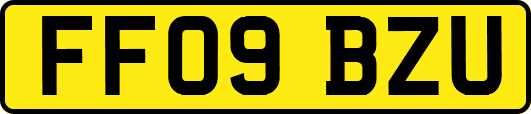 FF09BZU