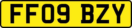 FF09BZY