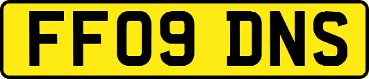 FF09DNS
