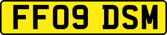 FF09DSM